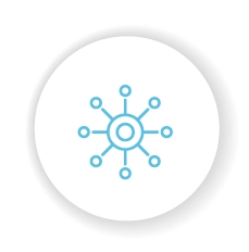 Retail Ecosystem Connectivity - SD-WAN, LAN and WiFi